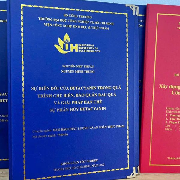 In đóng cuốn mạ vàng khóa luận